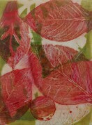 Hydrangea Leaf 4